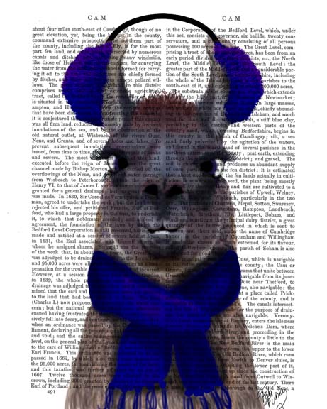 Chilly Llama, Blue