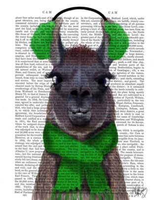 Chilly Llama, Green