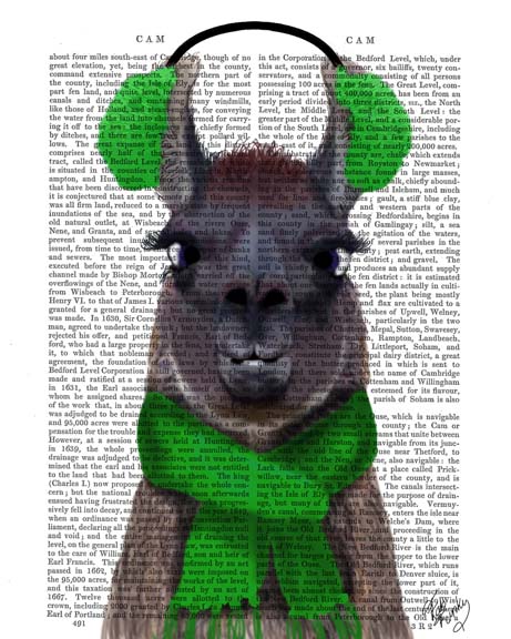 Chilly Llama, Green