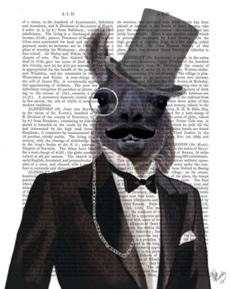 Llama in Tuxedo
