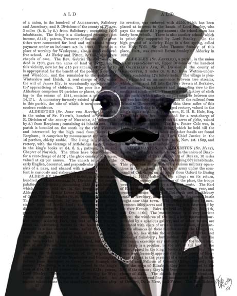 Llama in Tuxedo