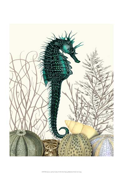 SeaHorse and Sea Urchins