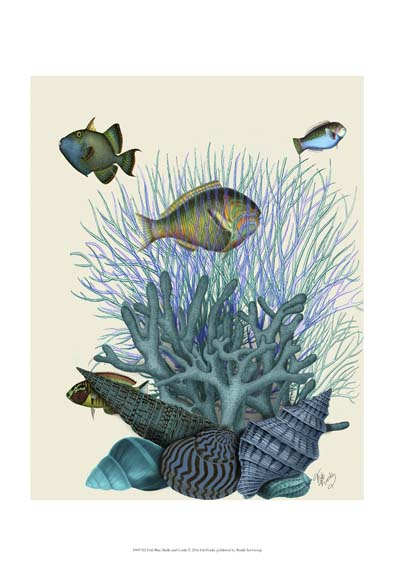 Fish Blue Shells and Corals
