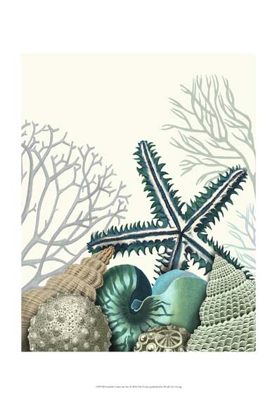 Starfish Under the Sea