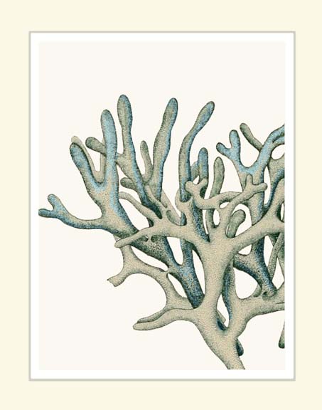 Blue Underwater Scenes 2 b