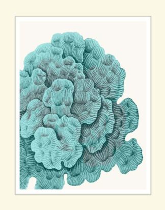 Blue Underwater Scenes 2 e