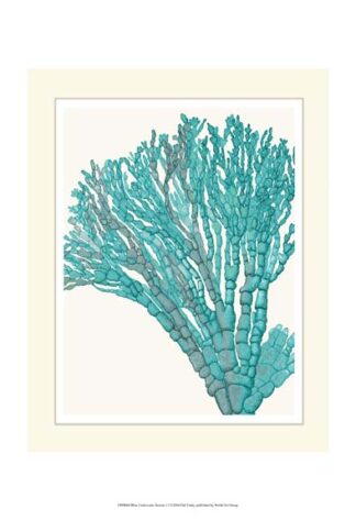 Blue Underwater Scenes 1 f