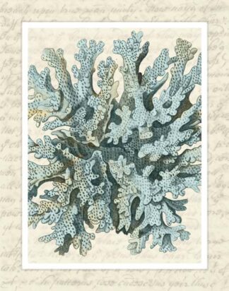 Blue Corals On VIntage Script c