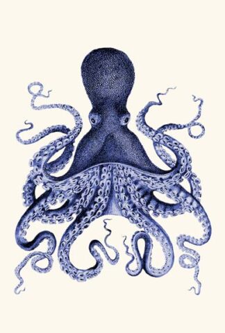 Blue Octopus 3