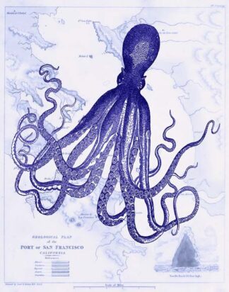 Blue Octopus 1 on Nautical Map