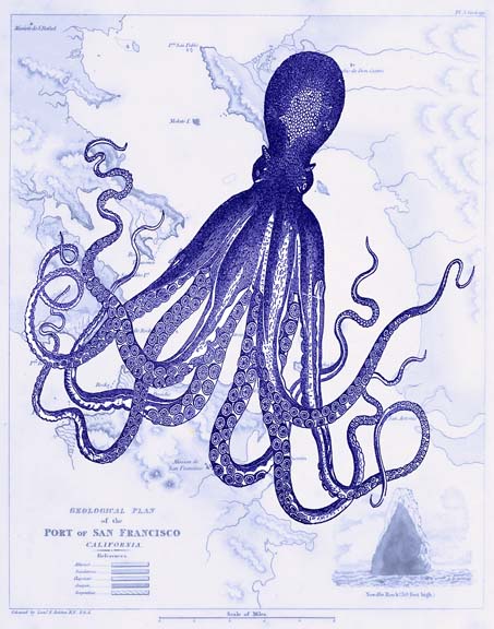 Blue Octopus 1 on Nautical Map
