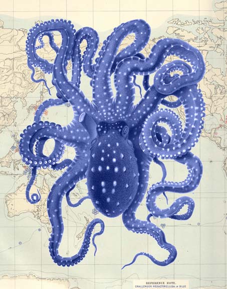 Blue Octopus 2 on Nautical Map