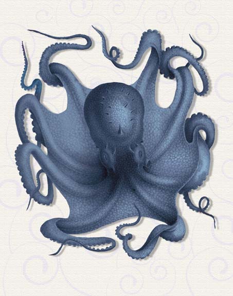 Octopus 5