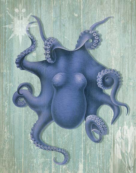 Coastal Life Collection 1 b