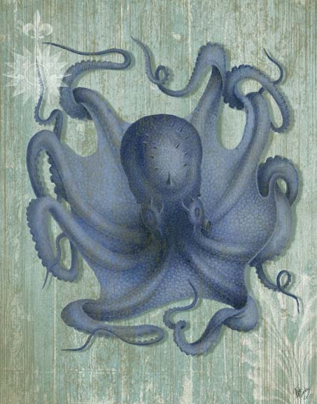 Coastal Life Collection 1 c