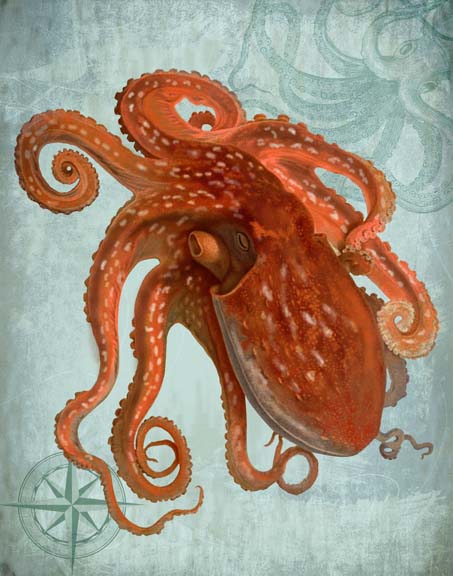 Coastal Life Collection 2 a