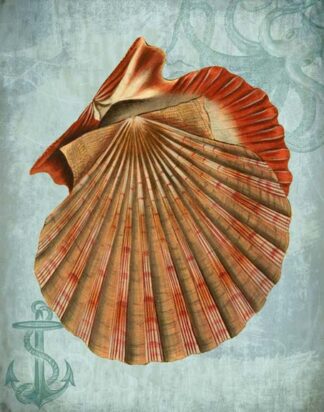 Coastal Life Collection 2 c