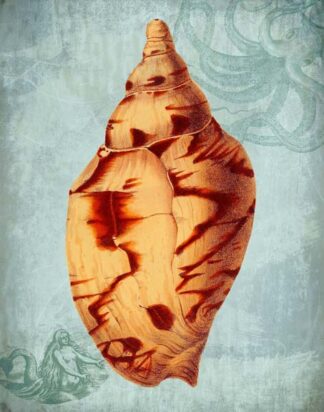 Coastal Life Collection 2 d