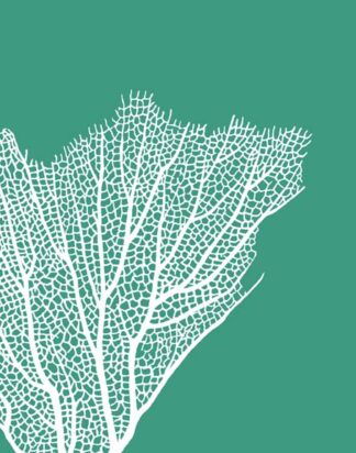 Turquoise Coral Prints c