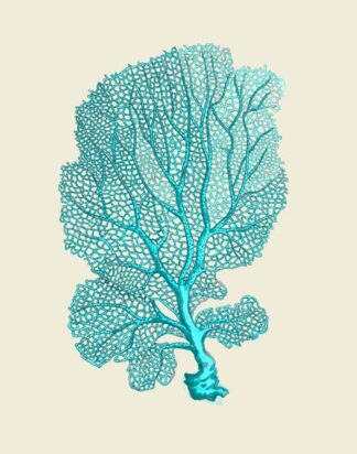 Corals Turquoise On Cream c