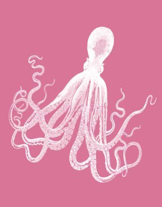 Octopus 1 White on Pink