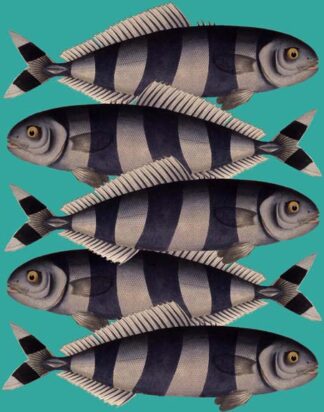 Blue Striped Fish