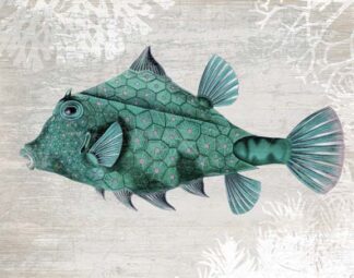 Turquoise Turret Fish