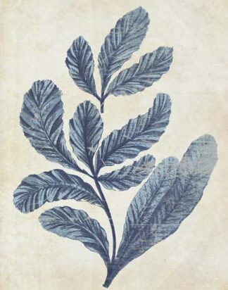 Indigo Blue Seaweed 2 a