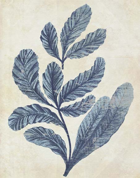 Indigo Blue Seaweed 2 a