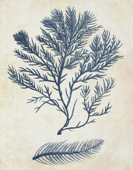 Indigo Blue Seaweed 2 c