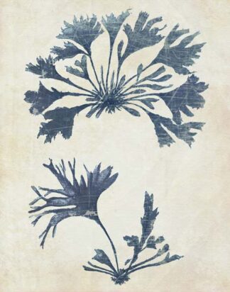 Indigo Blue Seaweed 2 d