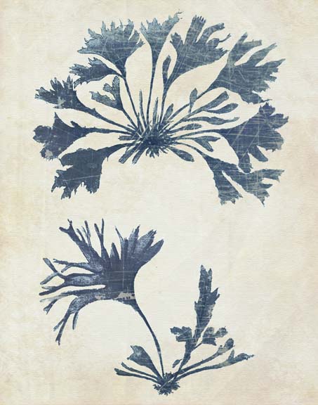 Indigo Blue Seaweed 2 d