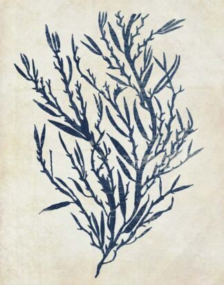 Indigo Blue Seaweed 3 b