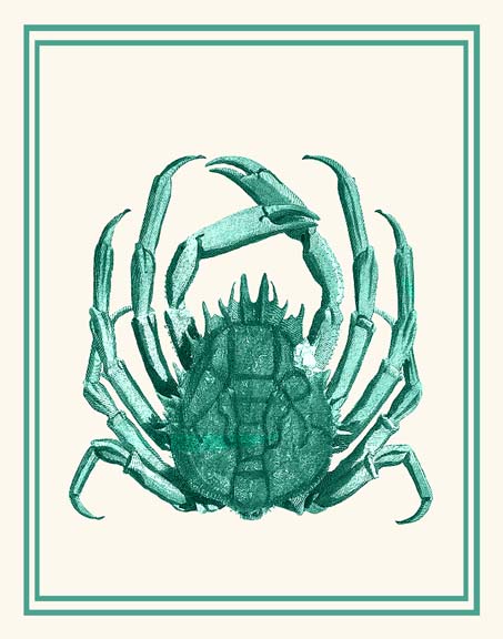 Mixed Nautical Green on Cream b