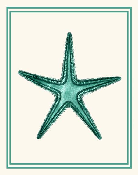 Mixed Nautical Green on Cream f