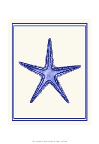 Mixed Nautical Blue on Cream f