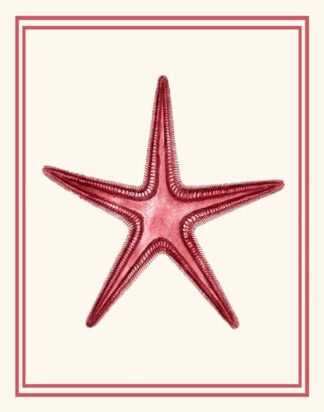 Mixed Nautical Coral on Cream a