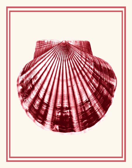 Mixed Nautical Coral on Cream b