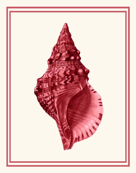 Mixed Nautical Coral on Cream c