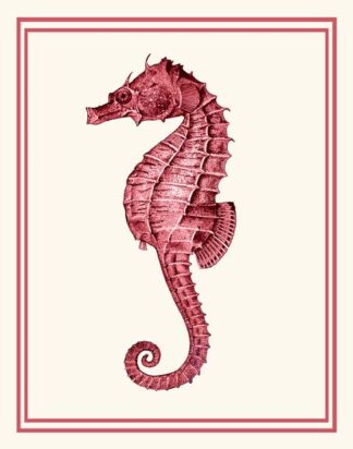 Mixed Nautical Coral on Cream d