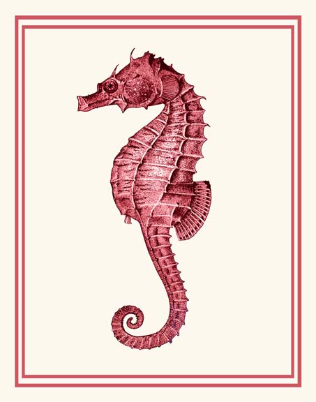 Mixed Nautical Coral on Cream d