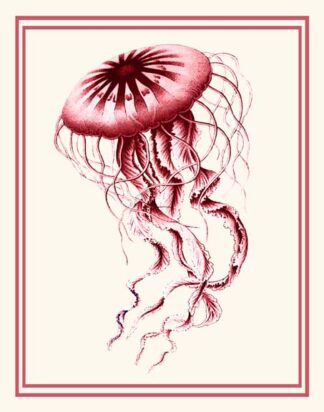 Mixed Nautical Coral on Cream e