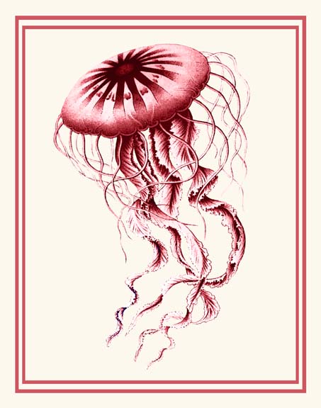 Mixed Nautical Coral on Cream e