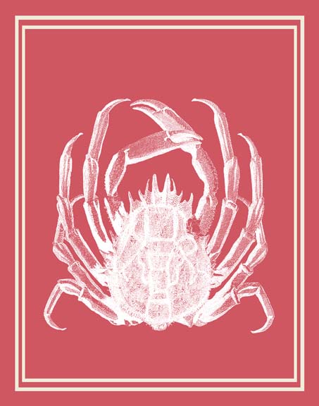 Mixed Nautical White on Coral a