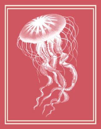 Mixed Nautical White on Coral b