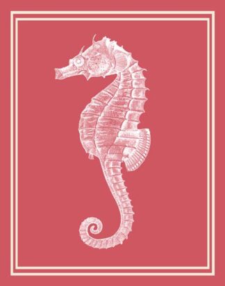 Mixed Nautical White on Coral c