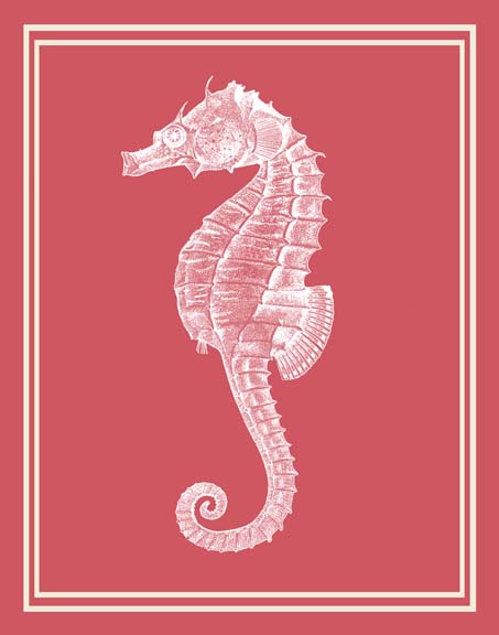 Mixed Nautical White on Coral c