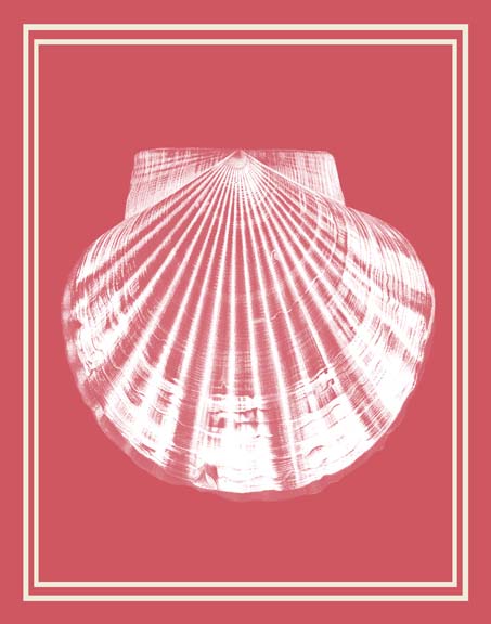 Mixed Nautical White on Coral e