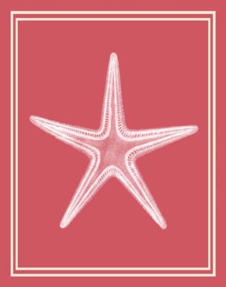 Mixed Nautical White on Coral f