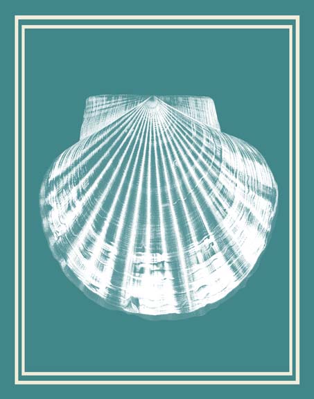 Mixed Nautical White on Teal b